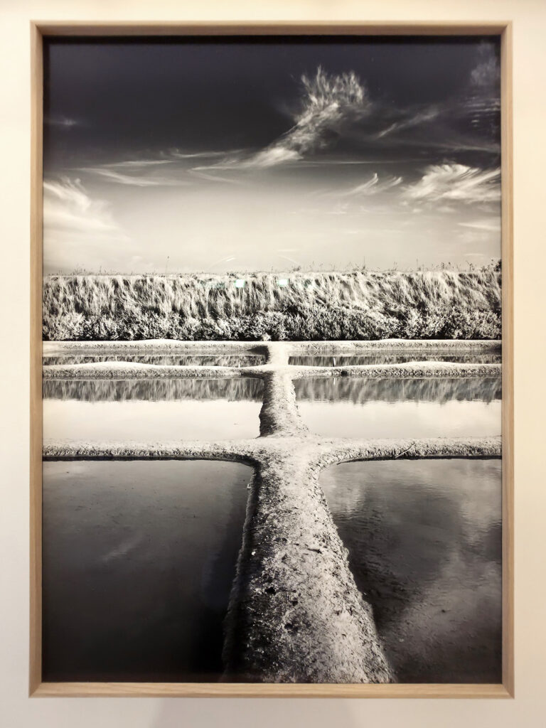 Tableau encadré en bois clair exposant une photographie d'art en noir et blanc des marais salants par Yann Lecomte.