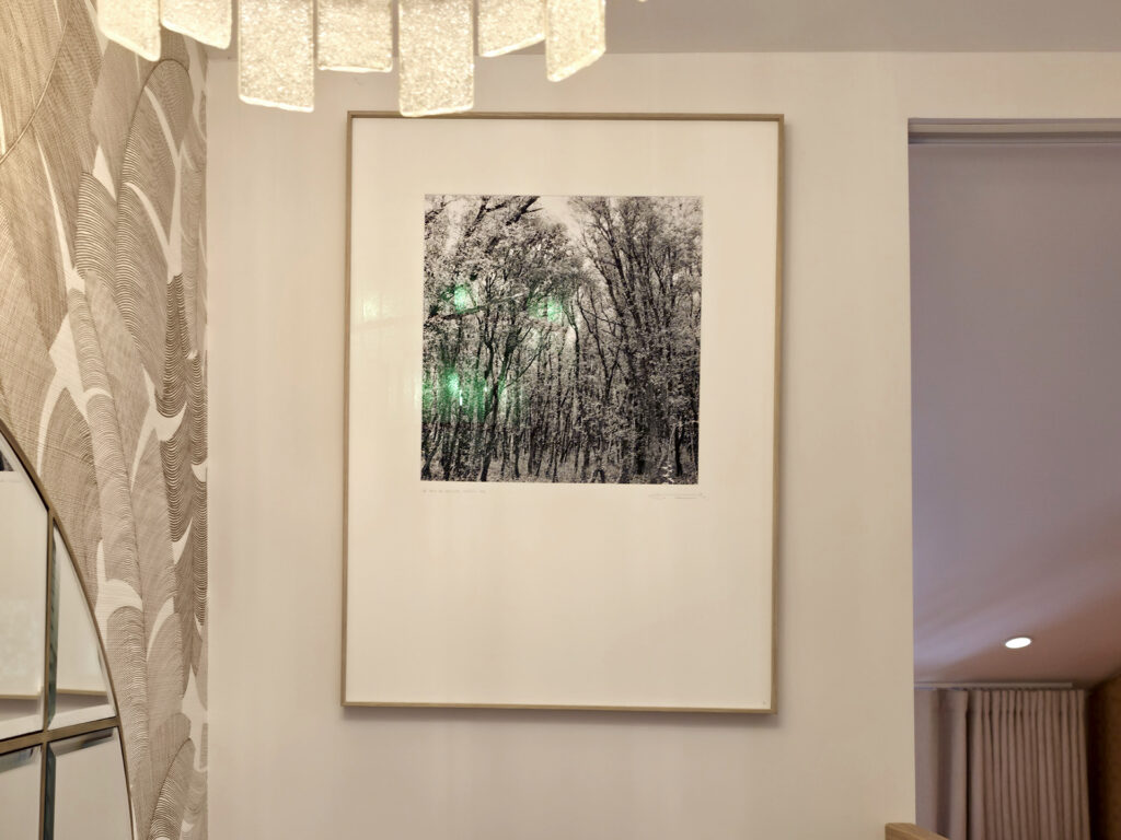 Photographie d'art sous verre représentant une forêt en noir et blanc par Yann Lecomte, sous un lustre en pampilles de verre ciselé.